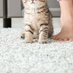 Are natural fibers as durable as synthetic fibers?