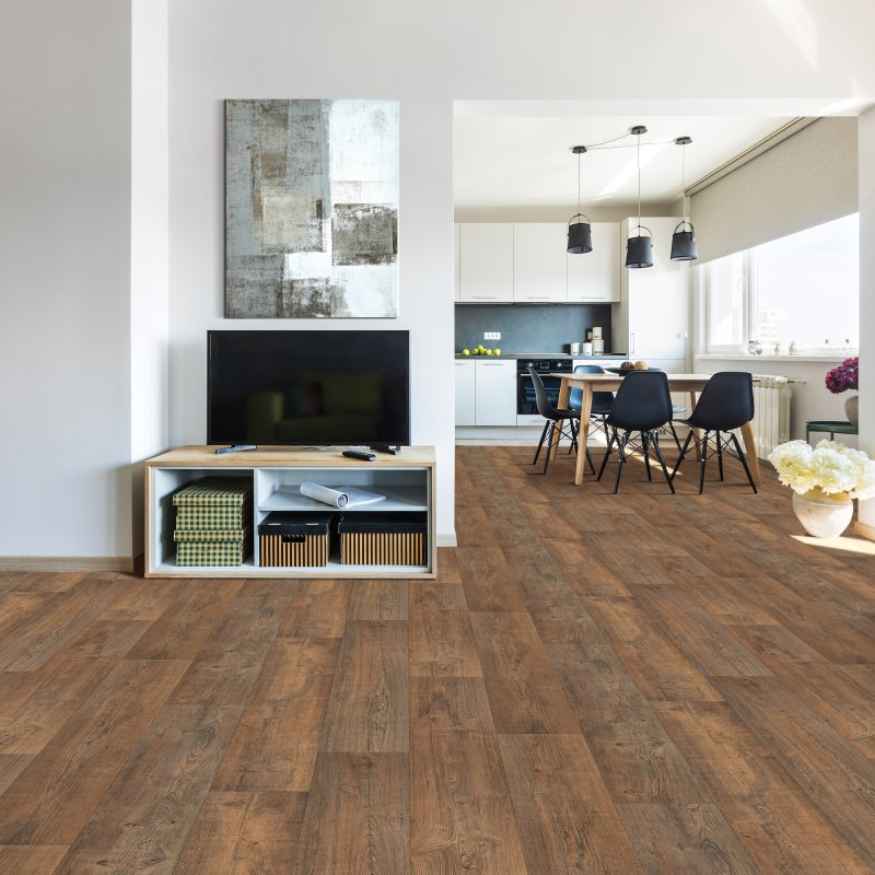 Carpet Spectrum providing pet-friendly waterproof vinyl flooring in Maumee, OH -Titan Umber
