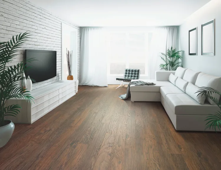Bright living room with brown laminate flooring