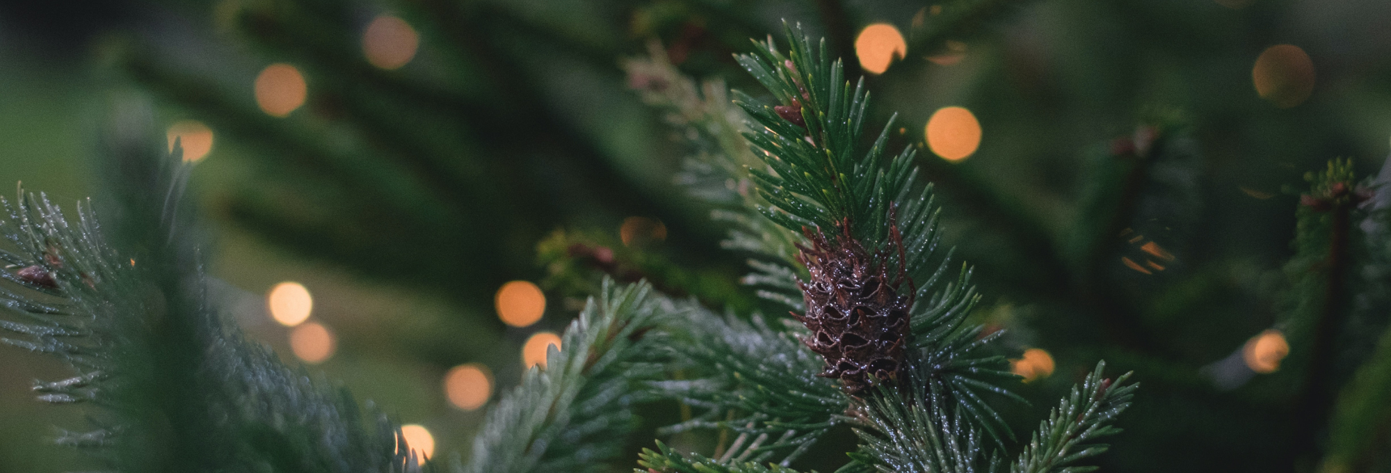 Happy Holidays from your local flooring store in Maumee, OH