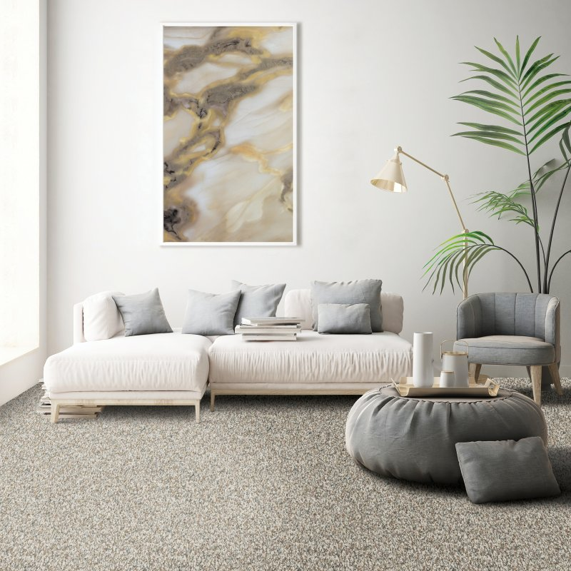 Carpet Spectrum providing easy stain-resistant pet proof carpet in Maumee, OH - Frequencies II - Flannel